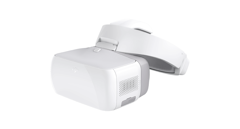 DJI Goggles